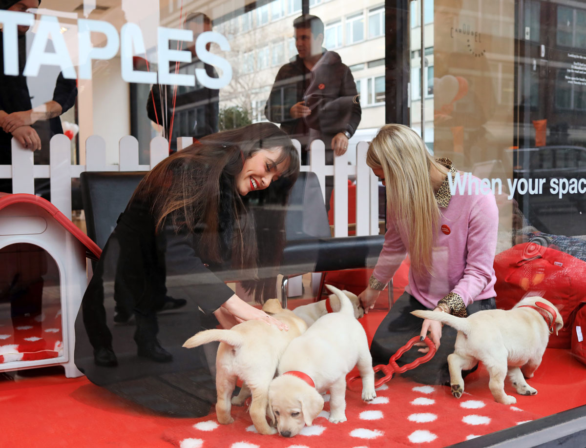 PR Survey for Staples Arlington Research