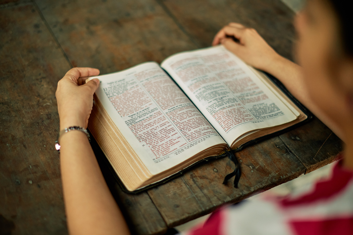 Person reading an old book